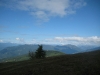 IMG_4390.jpg